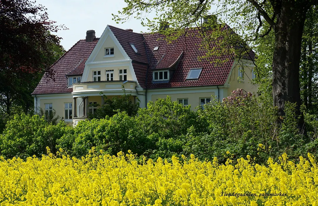 Tiendegaarden Møns Klint-1